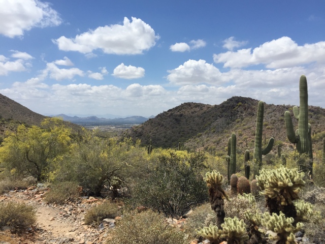 Along the route to Inspiration Point on McDowell Sonoran Preserve